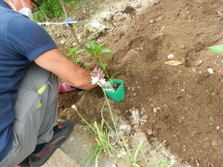 DSCN0251.JPG