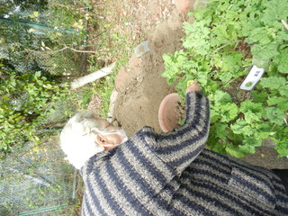DSCN7414.JPG