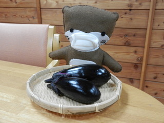 DSCN9862.JPG